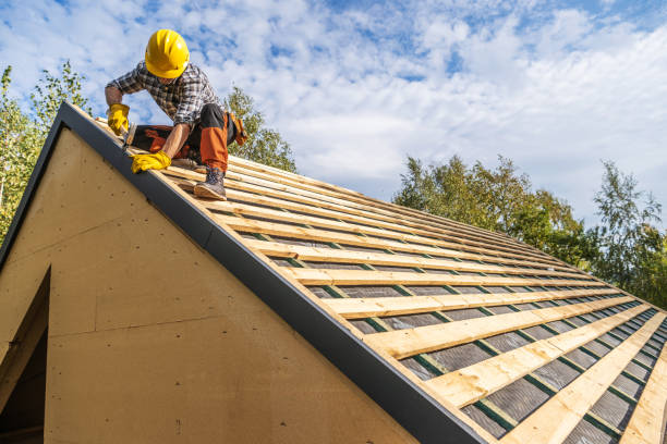 Best Roof Gutter Cleaning  in Hampton Bays, NY